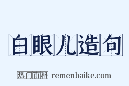 白眼儿造句是什么意思的图片